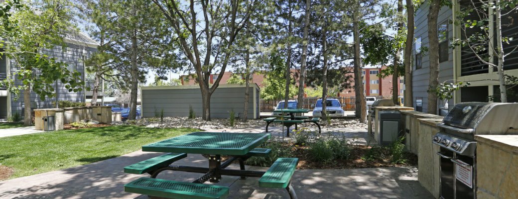 Picnic table area at Blue Sky Lofts Apartments